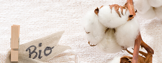 Why choose organic cotton?