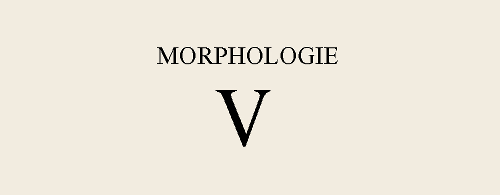 Comment s’habiller quand on a une morphologie en V ?